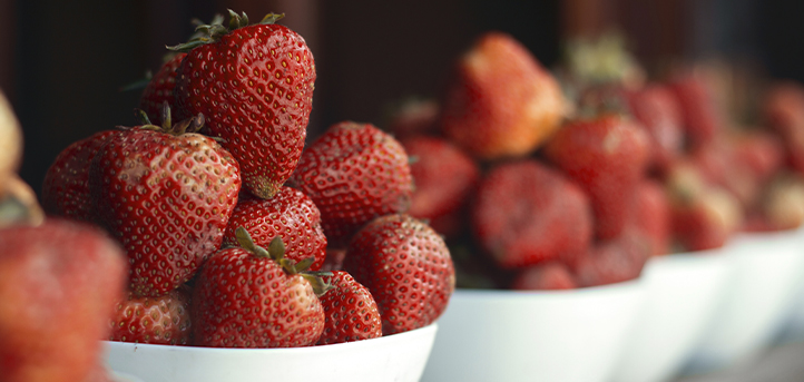 UNEATLANTICO participated in a study on the benefits of strawberry extract consumption in relation to Alzheimer’s disease