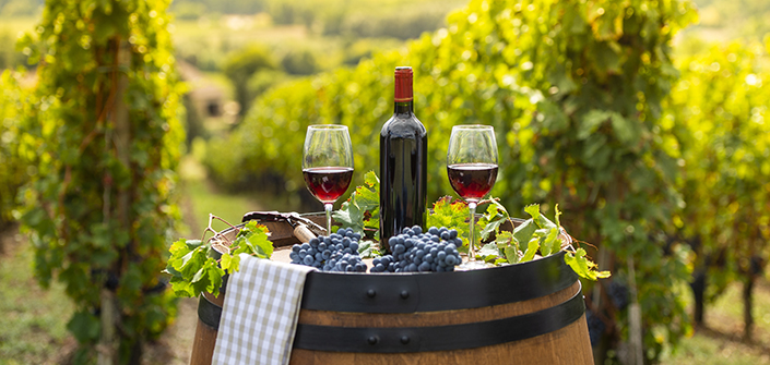 UNEATLANTICO researchers study the benefits of resveratrol on vascular health