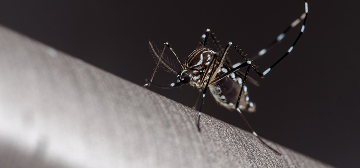 UNEATLANTICO researchers study the epidemiological evolution of dengue fever