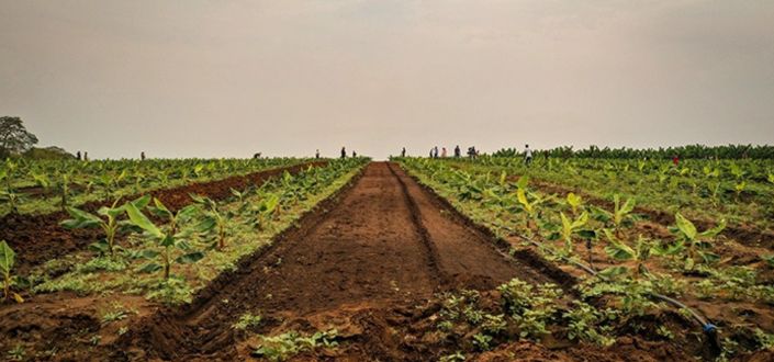 The MAHINE project, Led by UNEATLANTICO, initiates the Development of Virtual Patients to Improve Nutrition Education in Angola